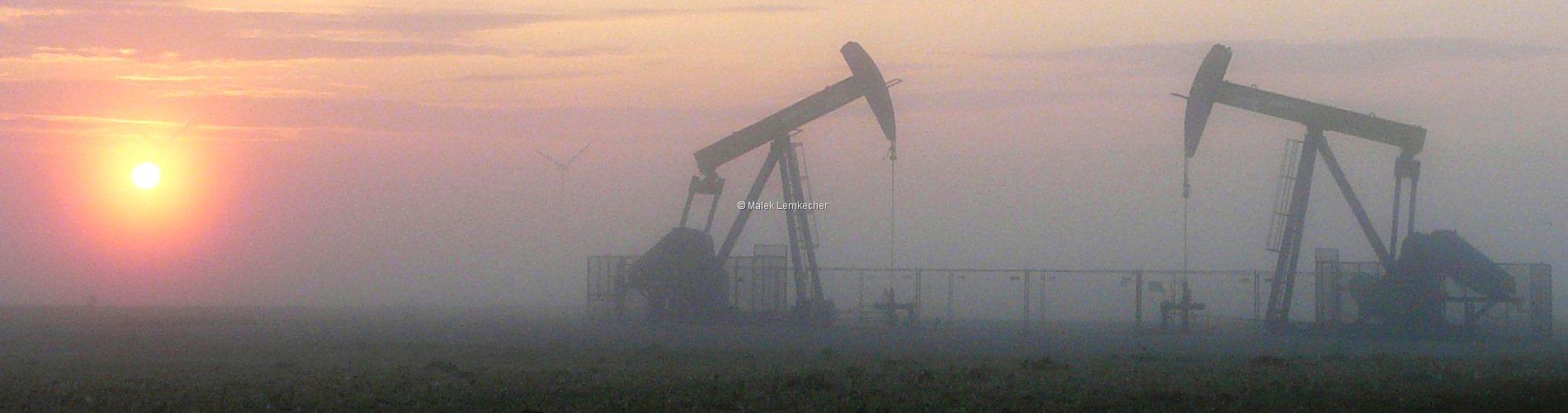 2012_01_Wein Viertel